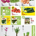 01 Promoções-Descontos-35964.jpg